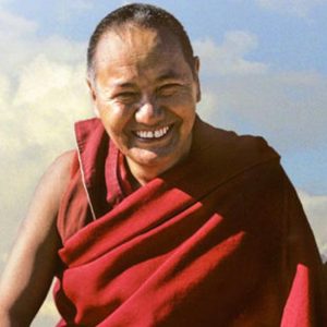 lama