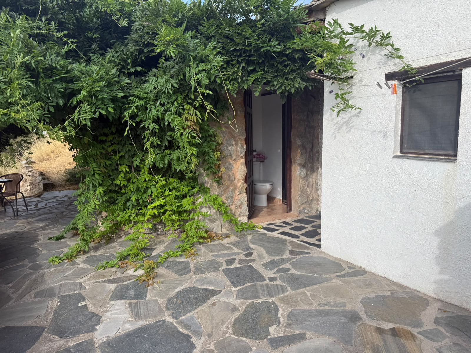 Asanga6