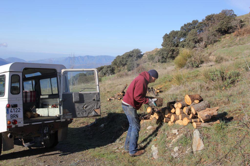 Recopilacion leña
