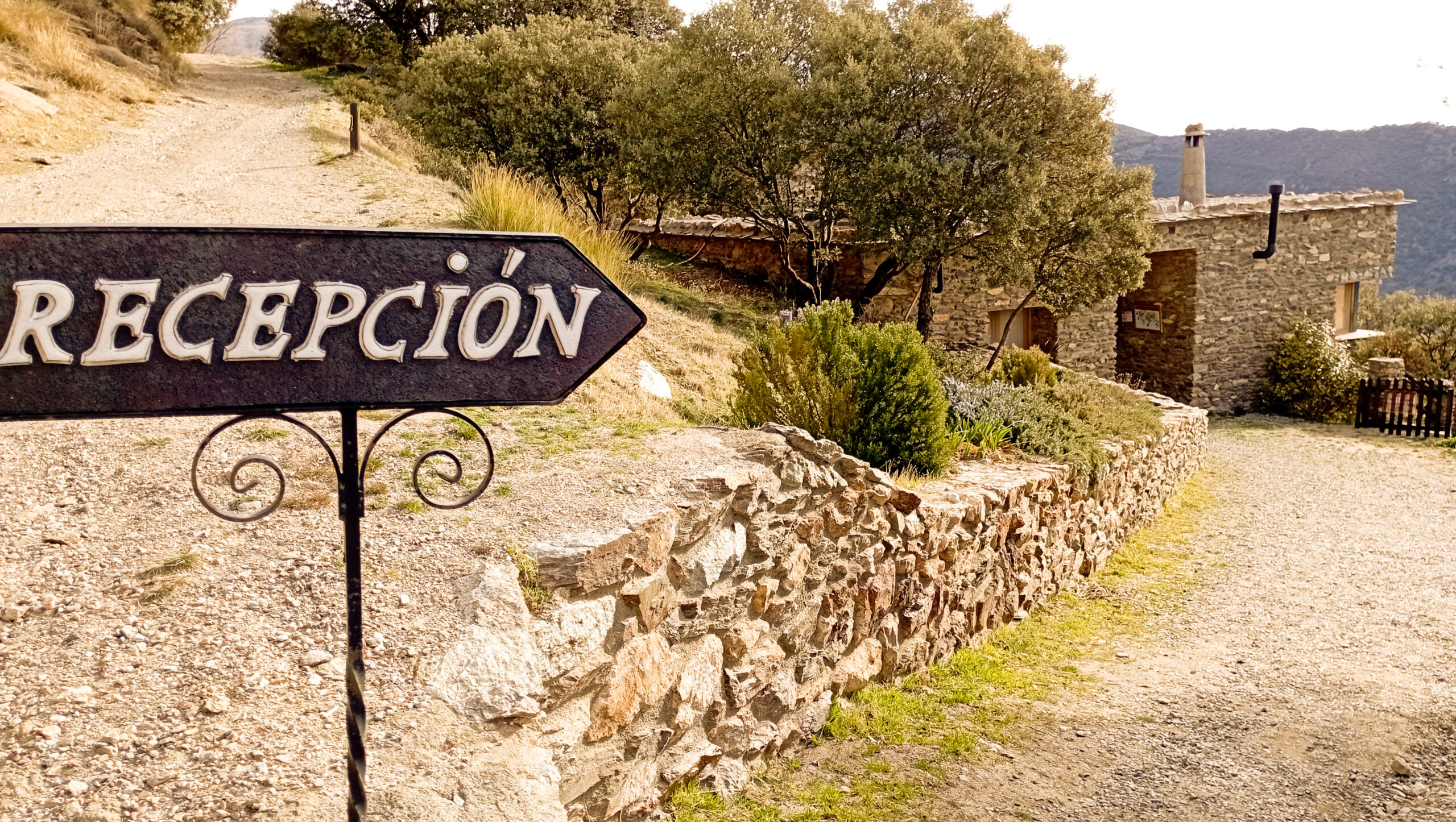 Recepcion-scaled